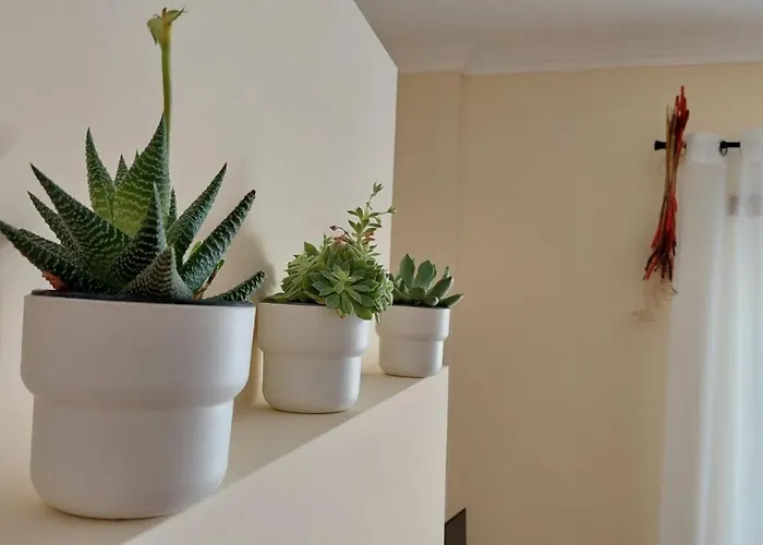 Sesimbra Top 公寓 塞辛布拉